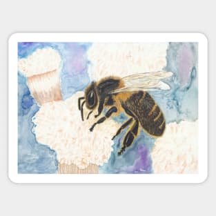 Collection Agent - Honey Bee on Flower Sticker